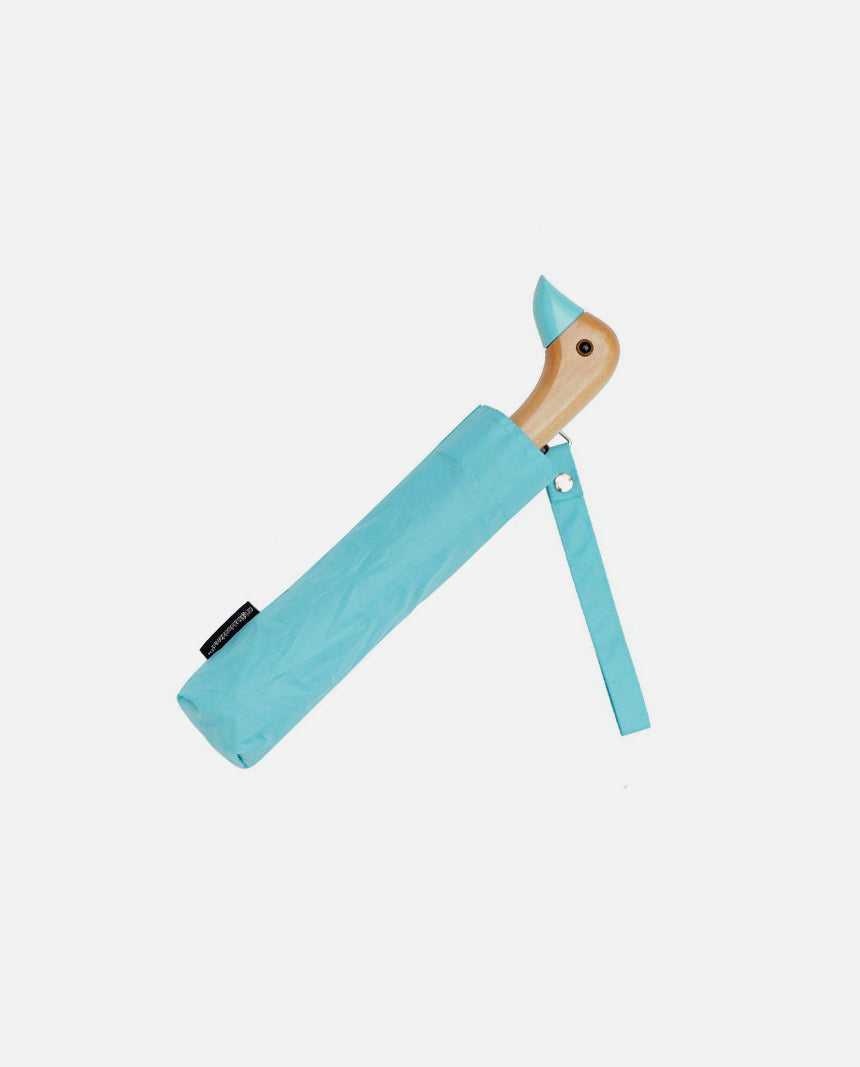 Duckhead umbrella Mint