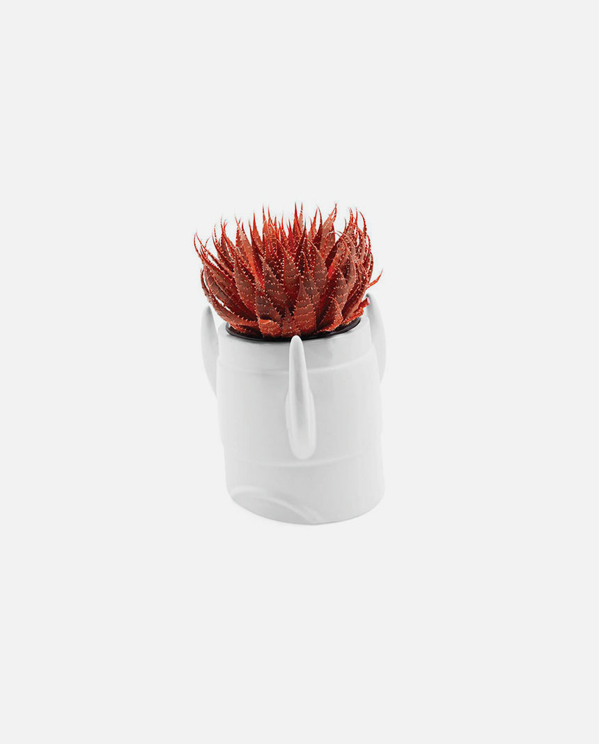 rocket planter snake plant Rocket Planter – LOL Distribution