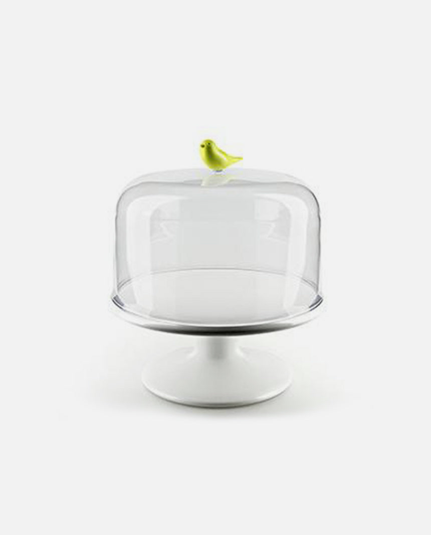 Sweet Tweet tray M