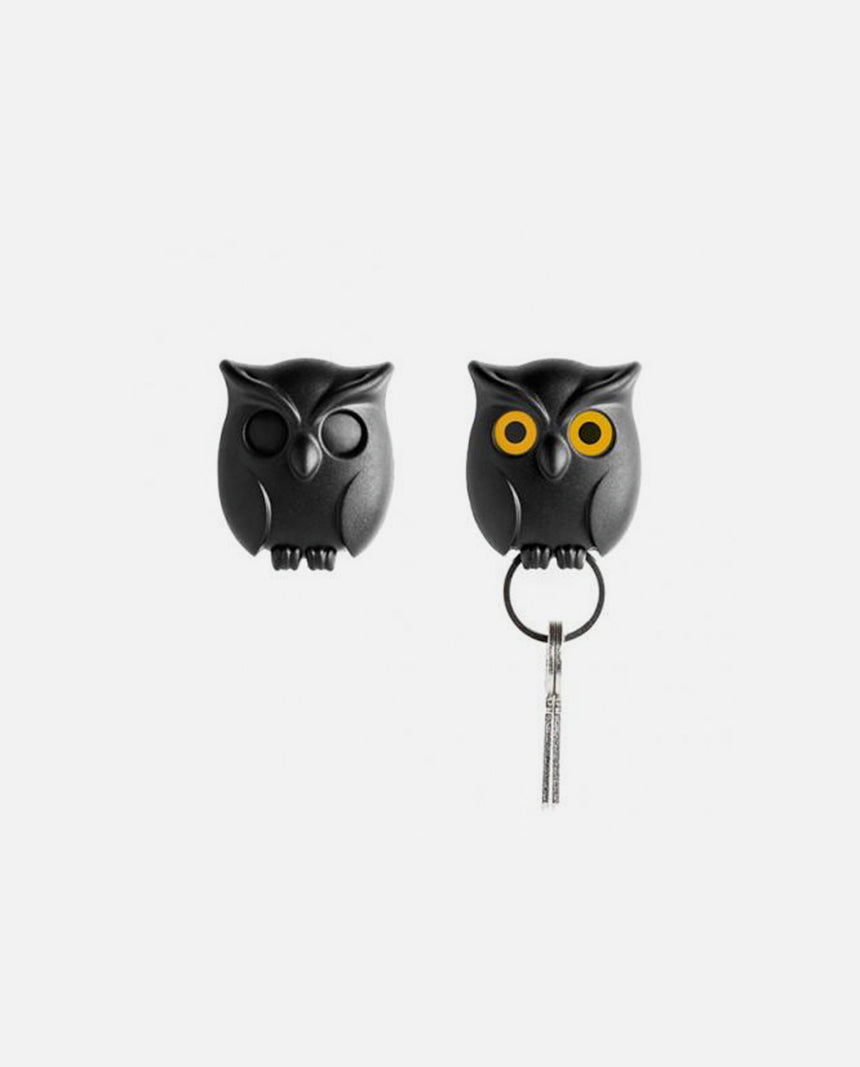 Night Owl Key Holder