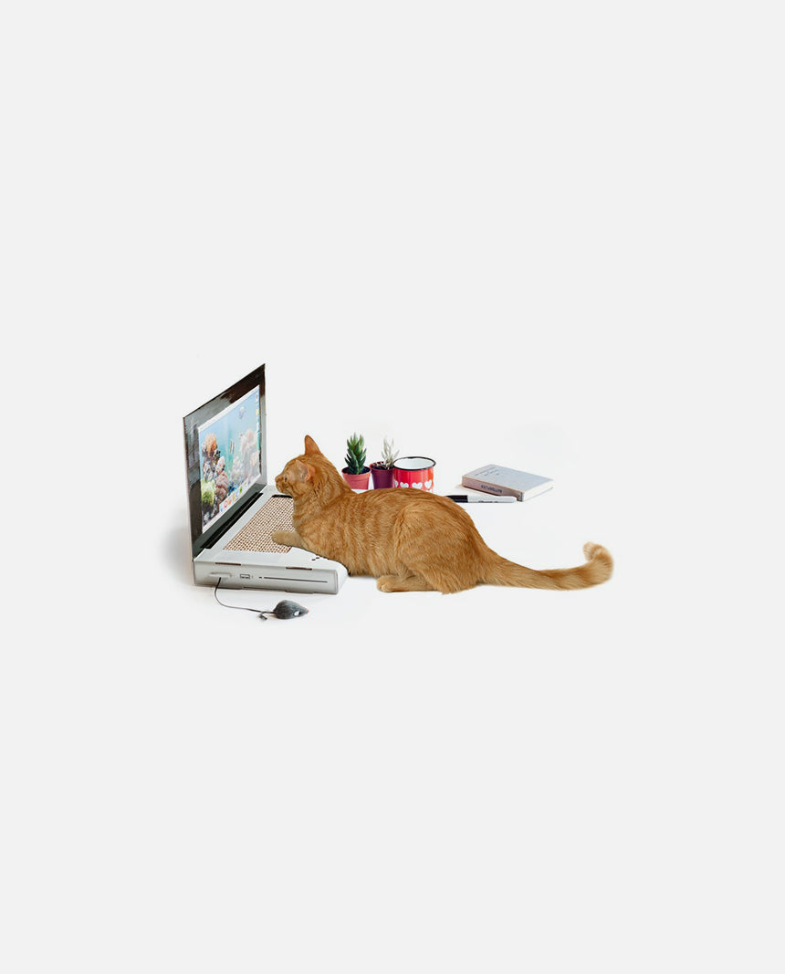 Cat Laptop Scratch Pad