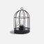 Birdcage Lamp