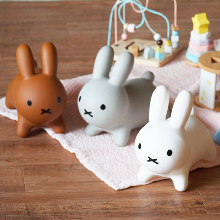 Miffy Bruna Bonbon & Bonbon Mini Bundle