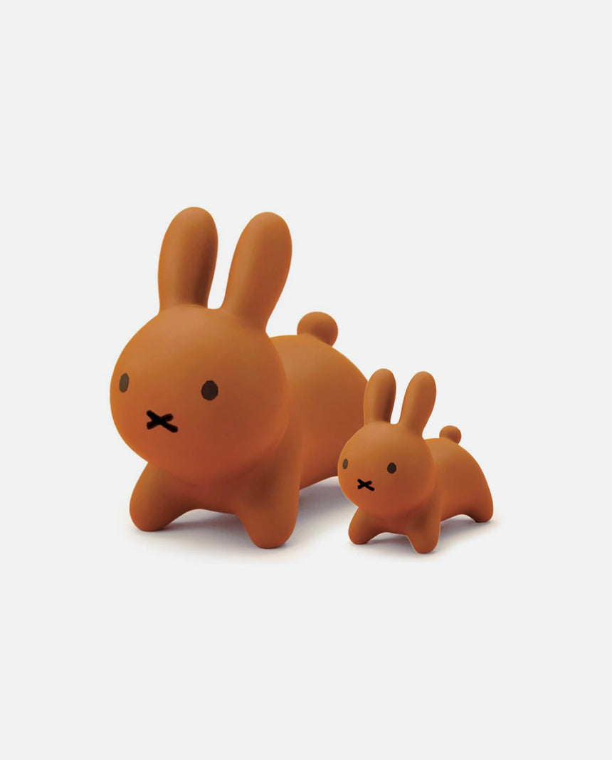 Miffy Bruna Bonbon & Bonbon Mini Bundle