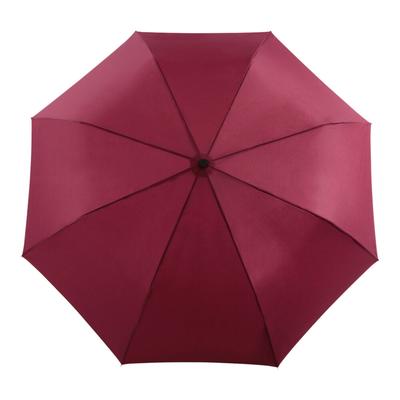 Duckhead umbrella Cherry