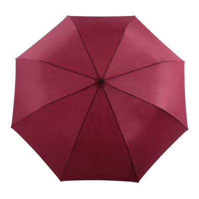 Duckhead umbrella Cherry