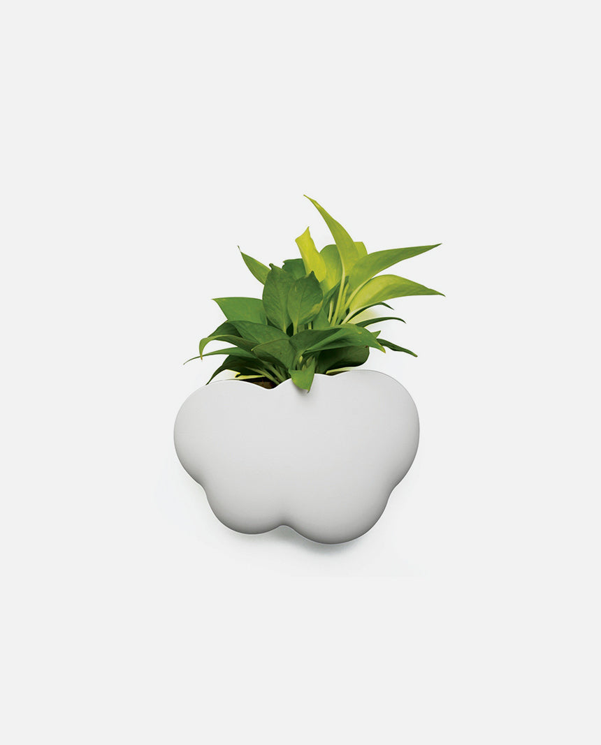cloud plant pot Cloud Pot (plant pot, container) – LOL Distribution