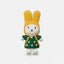 miffy & her green flower dress + yellow hat