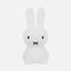 Miffy First Light