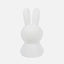 Miffy First Light