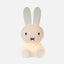 Miffy First Light