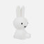 Miffy First Light