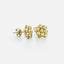 MIFFY - 18CT GOLD VERMEIL DAISY STUD EARRINGS