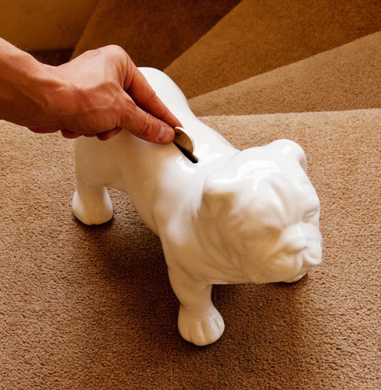 Guard Dog Money Box