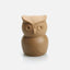Thirsty Owl (bottle caps opener)