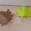 Autumn Door Stopper