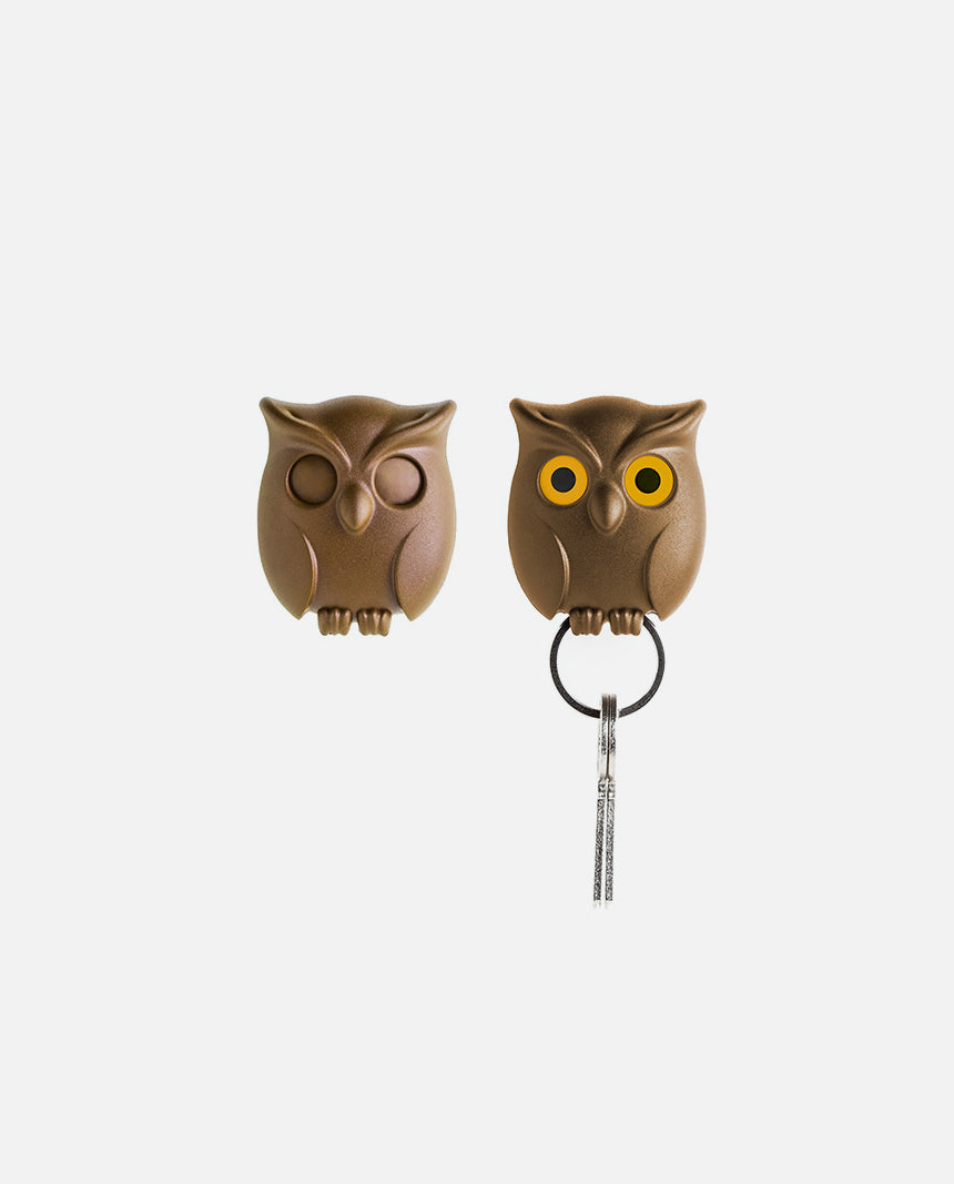 Night Owl Key Holder