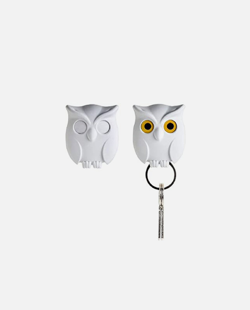 Night Owl Key Holder