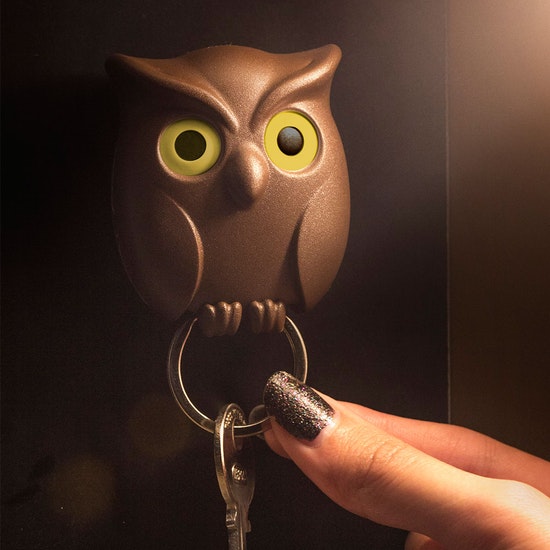 Night Owl Key Holder