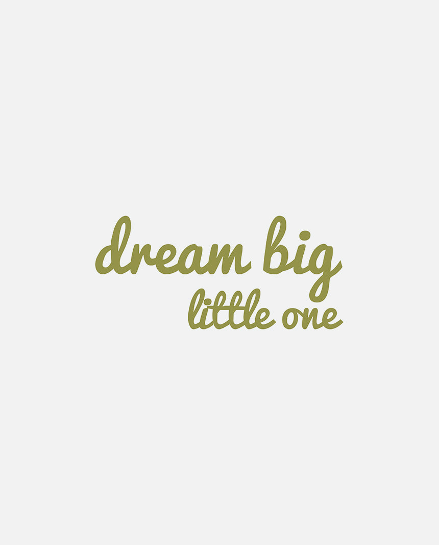 Dream Big Little One Sticker