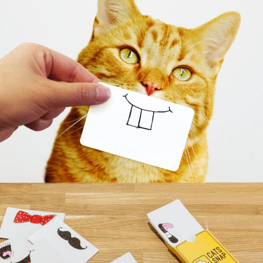 Cats Snap Photo Prop Cards