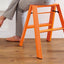 Lucano 2 step Ladder