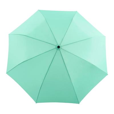 Duckhead umbrella Mint